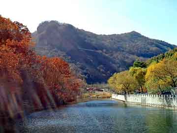 新澳天天开奖资料大全旅游团，河清海晏七七